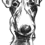 Kohlezeichnung eines Hundes aus erhöhter Sicht in sein Gesicht